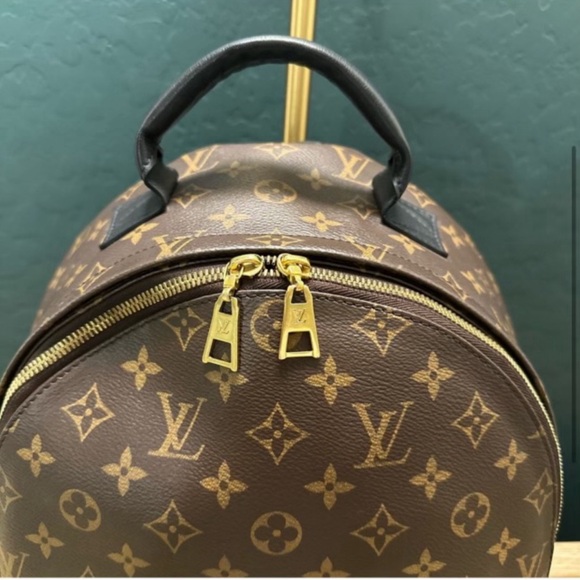 Louis Vuitton Palm Springs MM - Picture 3 of 10